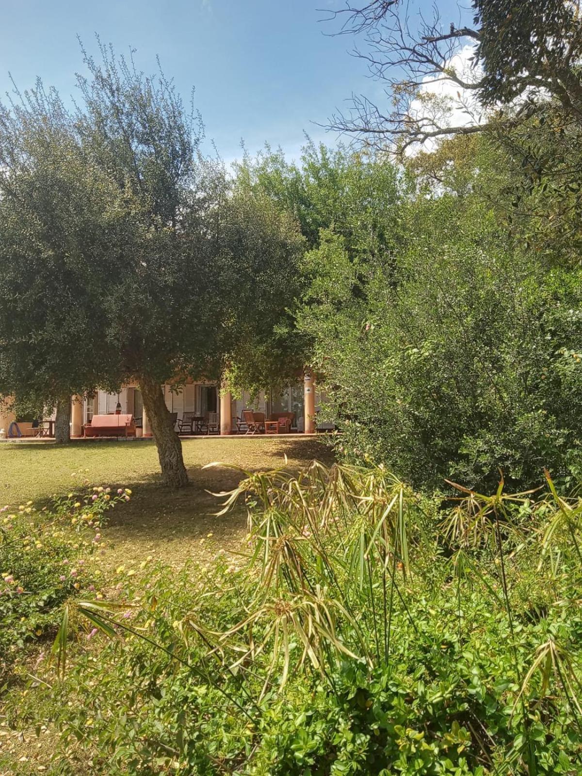 Sotogrande. Estancia Privada En Plena Naturaleza Exteriér fotografie